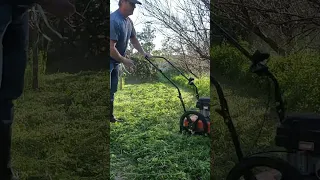 Taking care of weedness,  Cutting down heavy overgrowth of weeds.