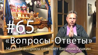 "Вопросы-Ответы", Выпуск #65 - Василий Тушкин отвечает на ваши вопросы