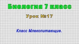 Биология 7 класс (Урок№17 - Класс Млекопитающие.)