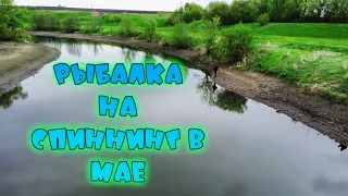 Спиннинг в мае! Рыбалка на реке Сосна! Весенняя щука на блесну! Хищник на малой реке, весной!