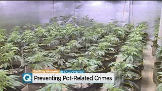 Sacramento City Council Weighs Crackdown On Illegal Home Pot Grows