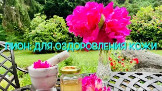 Пион: Для Оздоровления Кожи