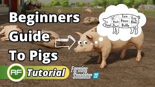 Beginners Pig Guide - Everything You Need To Know! - Farming Simulator 22