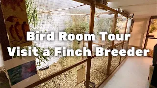 Breeding Finches | Bird room tour | Visit a breeder | S2:Ep3