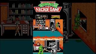 Donatello VS Rocksteady (TMNT II: The Arcade Game)