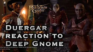 Baldur's Gate 3 Patch 8: Duergar Dwarves react to Deep Gnome Character