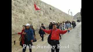 2017 Holy Land Pilgrimage with Fr. Jerry Orbos SVD