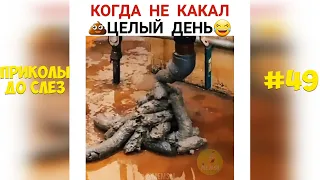 ЛУЧШИЕ ПРИКОЛЫ ФЕВРАЛЬ 2022 / 10 МИНУТ СМЕХА ДО СЛЁЗ / угар / tik tok video / ПРИКОЛЫ ДО СЛЕЗ #49