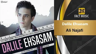 Ali Najafi -  Dalile Ehsasam  / علی نجفی - دلیل احساسم
