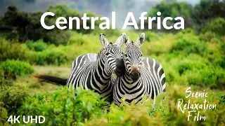 Central Africa 4K - Scenic Relaxation Film With Calming Music