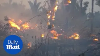 Amazon wildfire continues as 22 teams of firefighters deployed