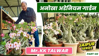 KK Talwar जी का 45 साल पुराना अडेनियम कलेक्शन | 45 Yr Old Adenium Collection of Mr. K.K Talwar 😯