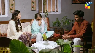 Shareef Admi Ko Barbad Kar Diya Meesni Ne !! #mamia #bilalqureshi - Meesni - HUM TV