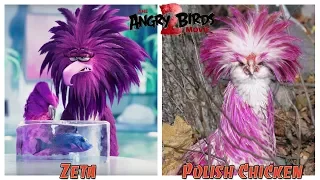 The Angry Birds Movie 2 Characters in Real Life