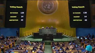 Israël-Hamas : l'Assemblée générale de l'ONU vote pour une "trêve humanitaire", colère d'Israël