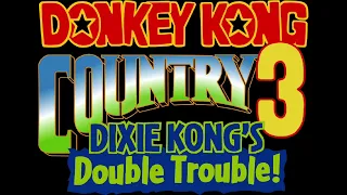 Nuts and Bolts - Donkey Kong Country 3: Dixie Kong's Double Trouble! (SNES) Music Extended