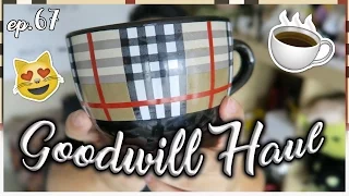 GOODWILL HAUL EP. 67