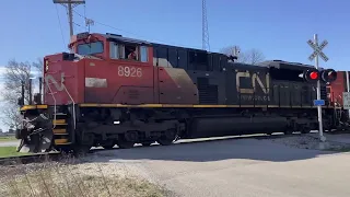 Dauphin Rd. Grade Crossing Chesnut IL