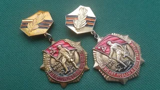 Нагрудный знак Медаль 25 лет Победы в Великой Отечественной Войне 1941 - 1945 годов Обзор и цена