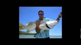 Reel Screamin Barra Fishing