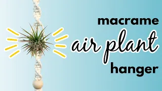 Macrame Air Plant Hanger DIY