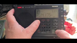 Tecsun PL-680 SSB performance on outdoor antenna is much better than the PL-600