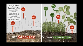 The surge of compostable capsules and pods explained - and why there's no turning back.