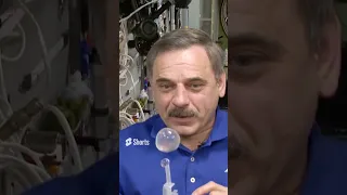 How Water Behaves In Zero Gravity #shorts #space