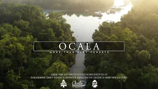 OCALA National Forest 8K Florida (Visually Stunning 3min Tour)