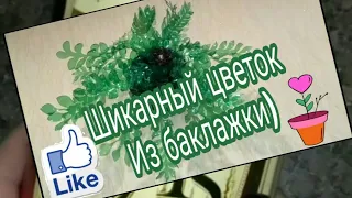 Шикарный цветок из бутылки!   Elegant flower from eggplant!