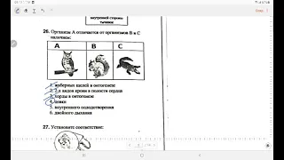 Вступительный экзамен/ Биология/ДИМ/4 группа/Вариант В/ 21.07.2022/