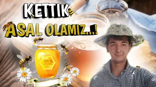 Kettik Asal olamiz | Asal arichilik | Mazzali Asal