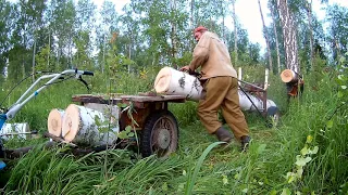 Домик в деревне 27 ..... заготовка  бревна  на пилораму