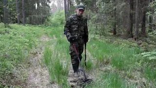 Поиск монет на лесной дороге или ЛЕС АЛКАШЕЙ / Treasure hunting on the forest road