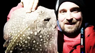 CATCHING THORNBACK RAY'S IN EASTBOURNE EAST SUSSEX USING BLUEY BAIT (UK SEA FISHING)