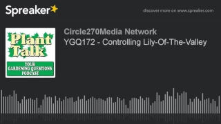 YGQ172 - Controlling Lily-Of-The-Valley