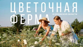 Цветочная ферма "Цветы и Травы". Документальный фильм.