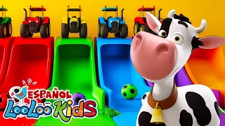 Lola La Vaca 🐮 Señora Vaca - Canciones Infantiles para Bebés - Musica Infantil para Bailar