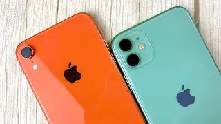 Подробное сравнение iPhone 11 и XR