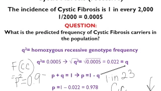 Apply Hardy-Weinberg Equation