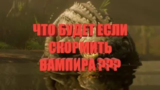 ЧТО БУДЕТ ЕСЛИ СК0РМИТЬ ВАМПИРА АЛЛИГАТ0РУ В RDR 2 ???