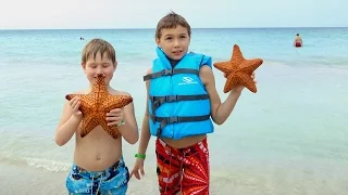 Look! A Real Starfish!... Смотри! Настоящая морская звезда!