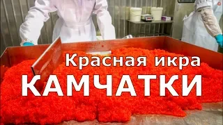 Красная икра КАМЧАТКИ