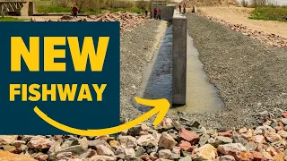 New Fishway Opens 23 Miles of Stream (Aiding 21+ Fish Species)