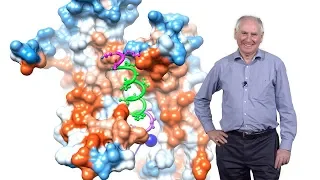 Tom Rapoport (Harvard, HHMI) 1: Organelle Biosynthesis and Protein Sorting