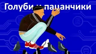 Про голубей и пацанчиков. Обычный Айтишник.