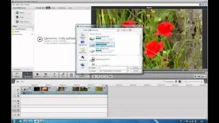 Обходим проблему со звуком в программе AVS Video Editor