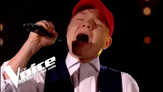 Michael Jackson - She's Out Of My Life  | Albi | The Voice 2019 | KO Audition