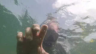 Lobster Diving 08/2018