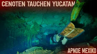 Apnoe in unbekannte Höhlen | Unterwasserwelten Yucatan | Cenoten tauchen | S3•E38